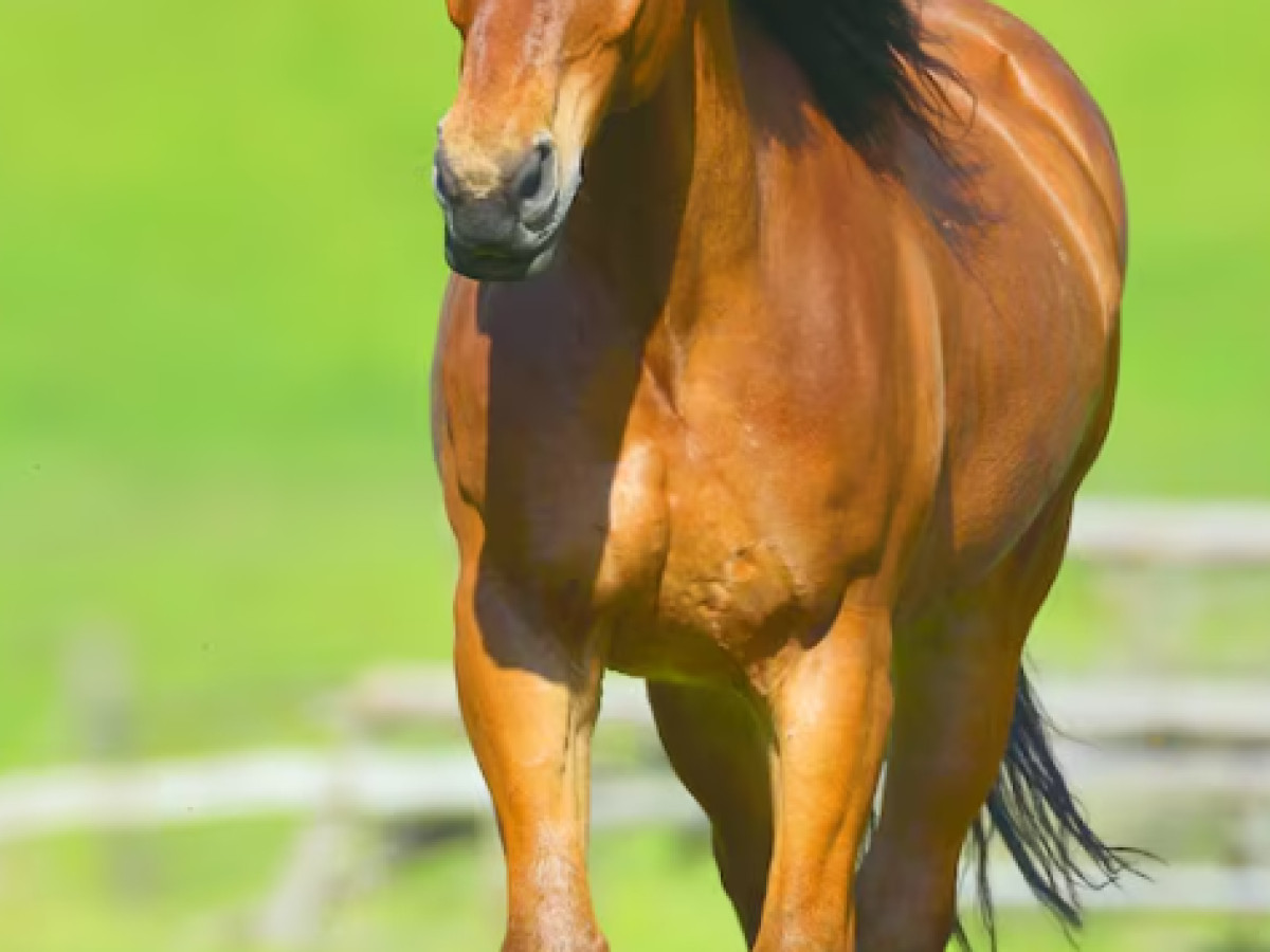 Host image thumbnail 3