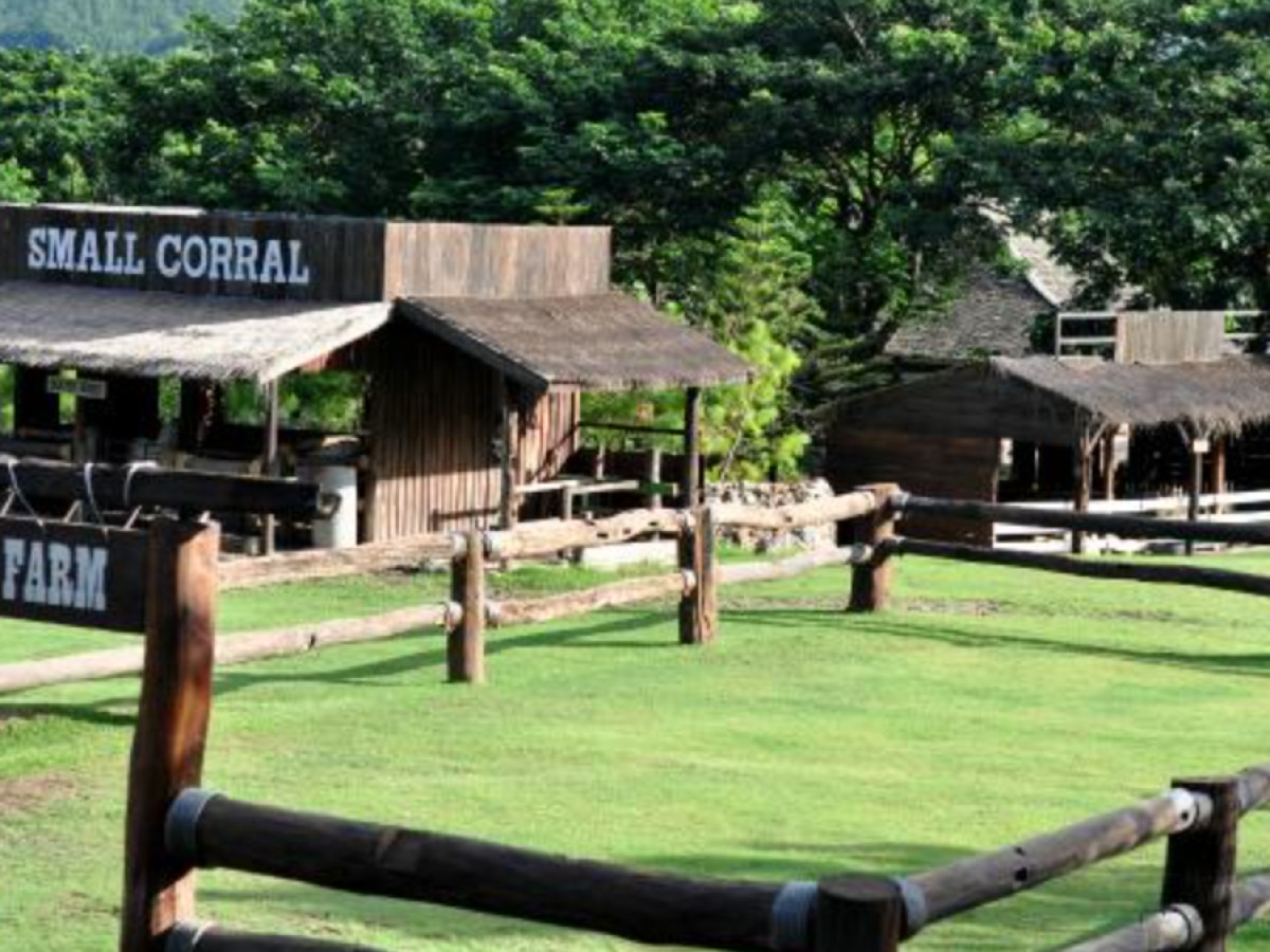 Host image thumbnail 6