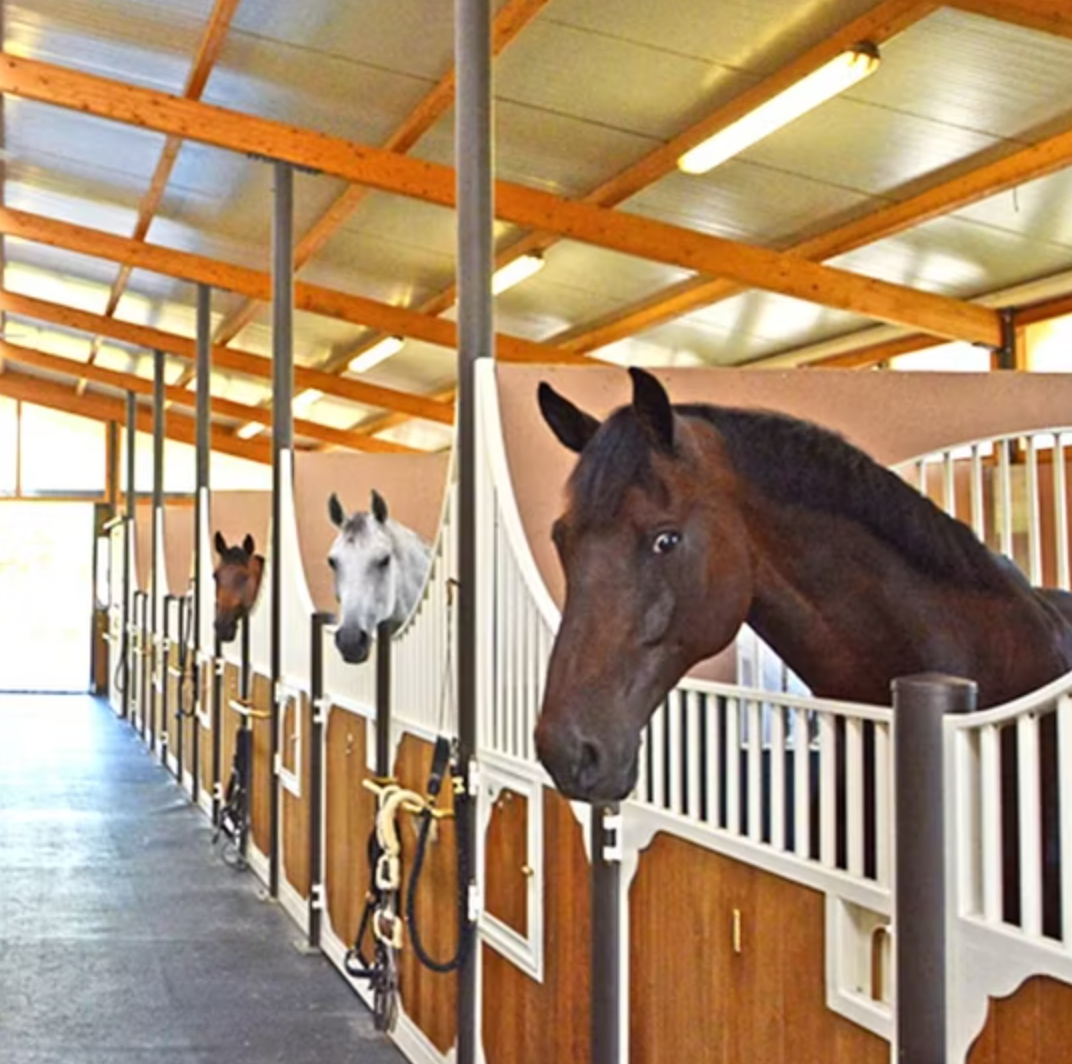 Hill Country Sunset Adventure