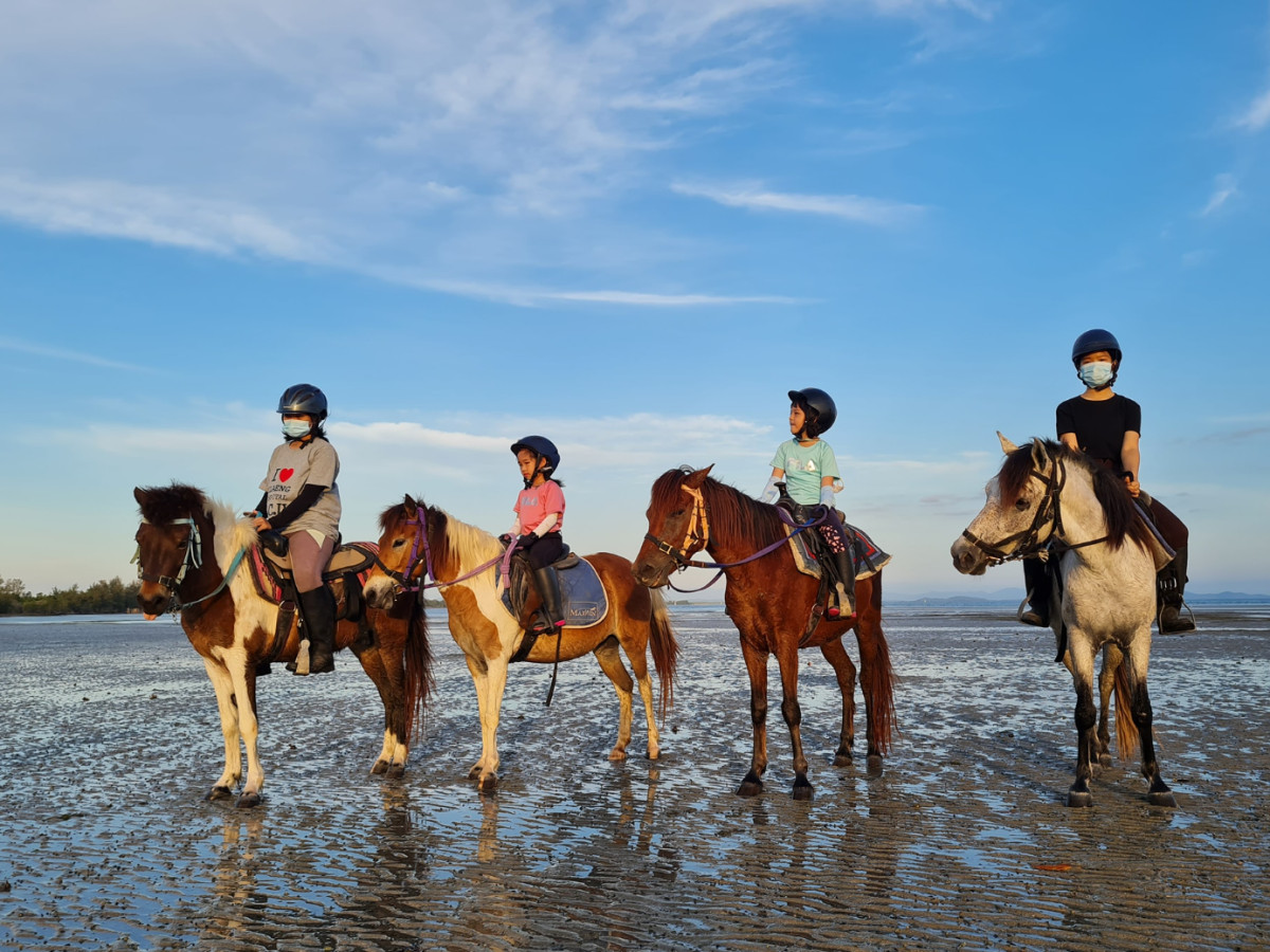 Trail ride thumbnail 1