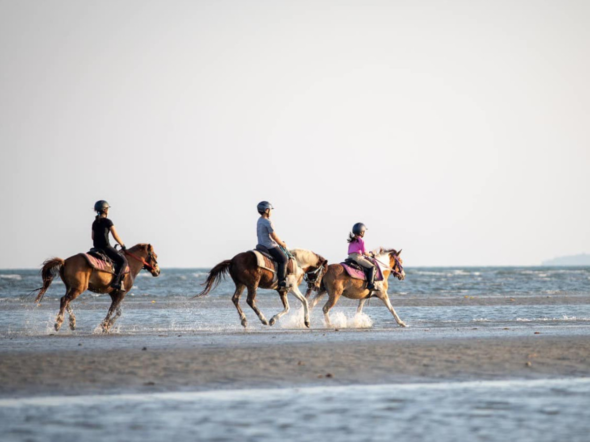 Trail ride thumbnail 4