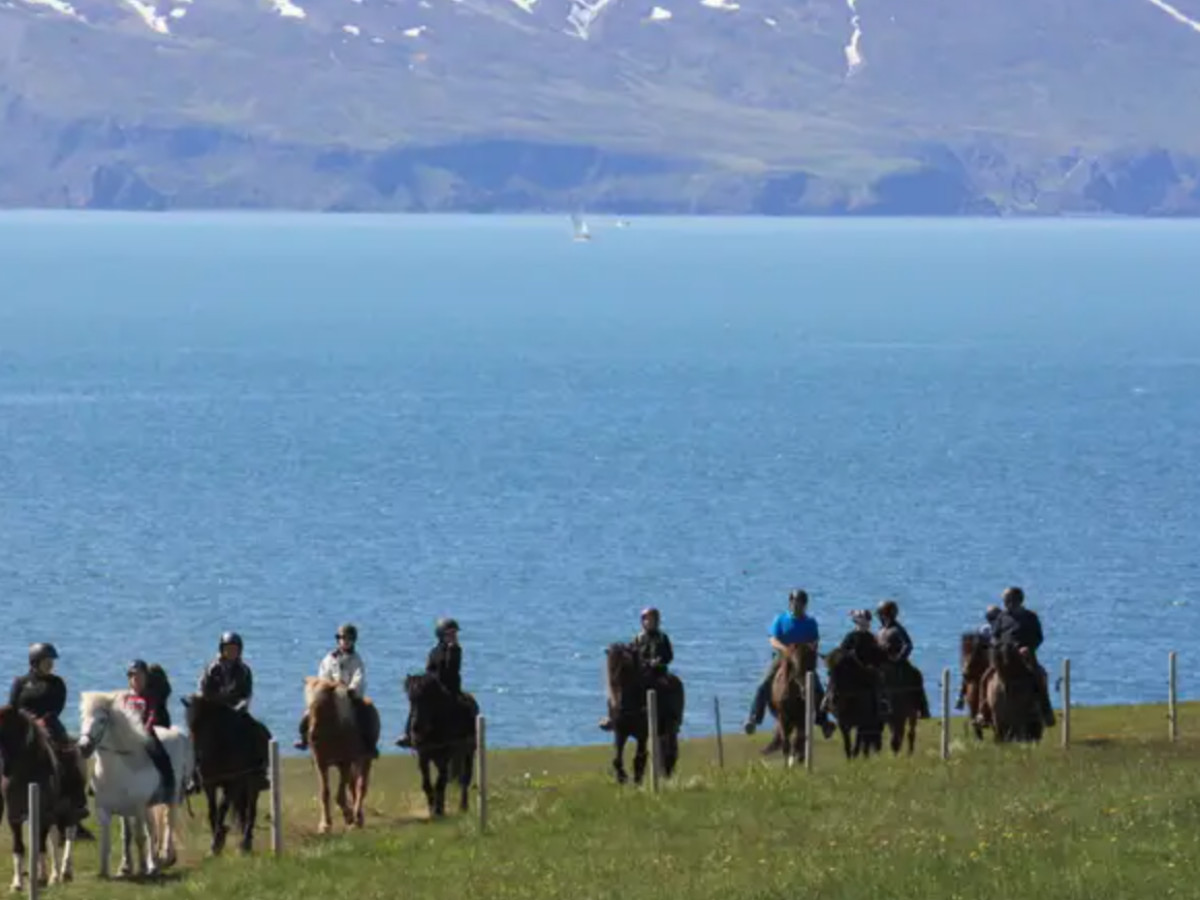 Trail ride thumbnail 3