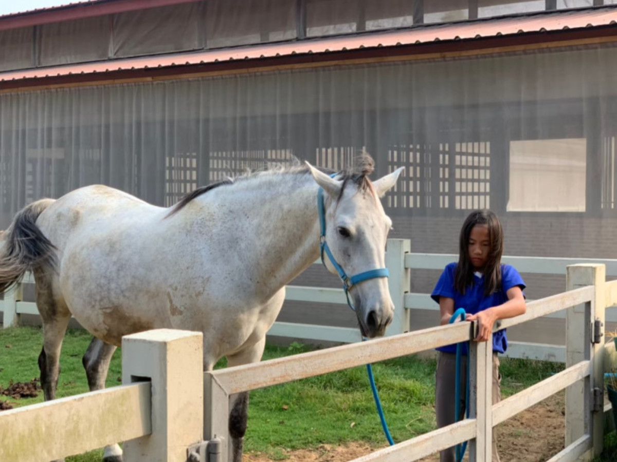 Trail ride thumbnail 6