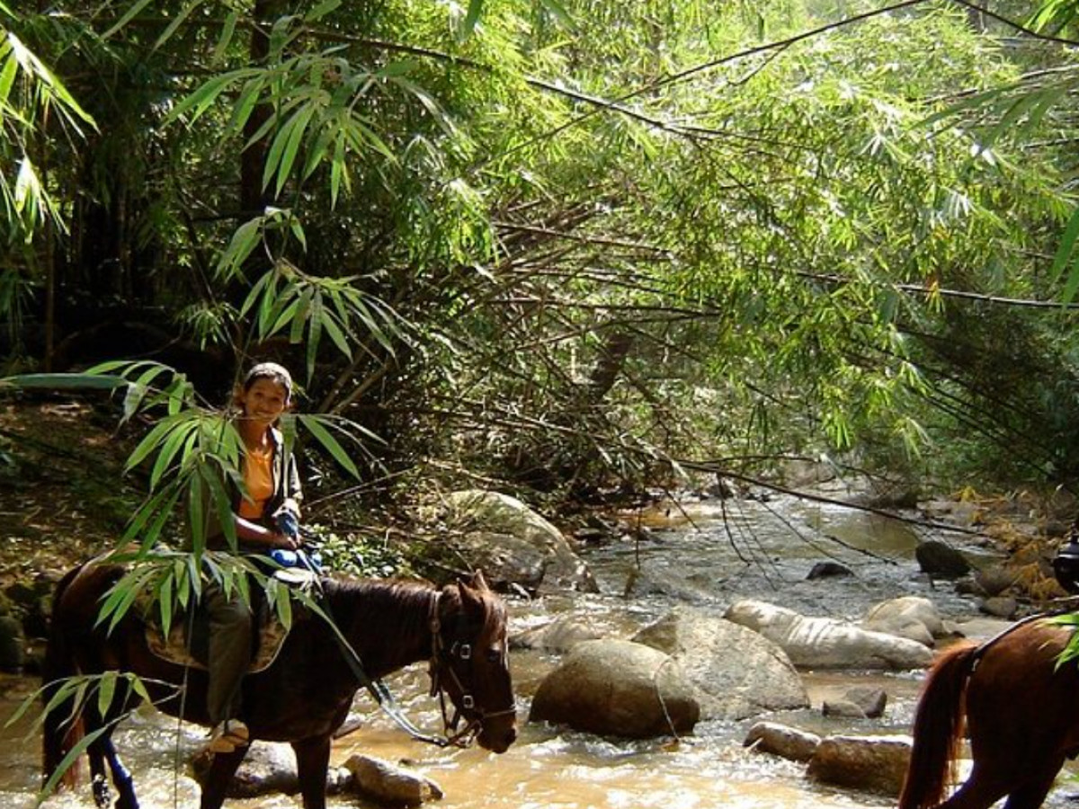 Trail ride thumbnail 8